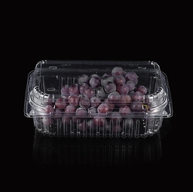 Plastique, le monde, créez sans limite ! Les équipements de thermoformage Ruisu sont largement utilisés.