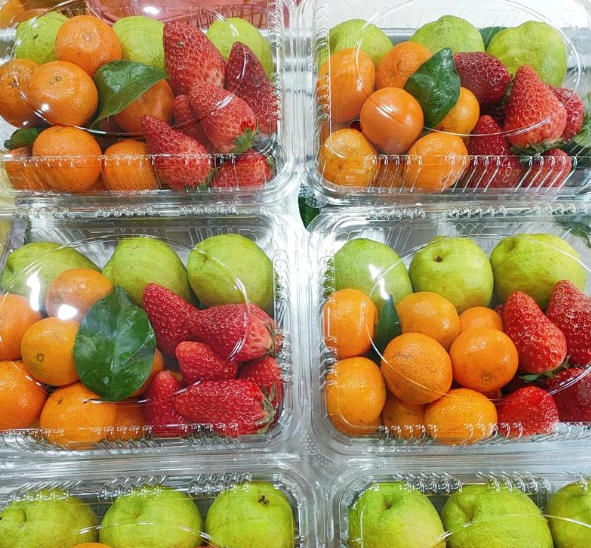 Les équipements de thermoformage professionnels vous aident à gagner efficacement