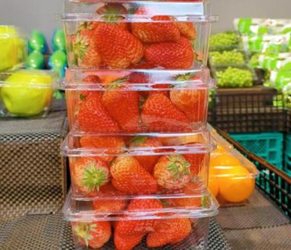 Comprendre les bases d'une machine de thermoformage