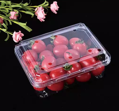 Ruisu Machinery, le partenaire mondial du thermoformage sans souci !